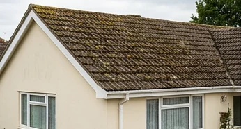 Illustrative cream bungalow roof with moss on its brown concrete tiles