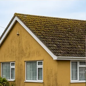 Illustrative mustard rendered bungalow with moss covering its existing dark concrete tiled roof