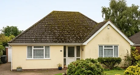 Illustrative pale yellow bungalow with moss-covered dark concrete roof tiles